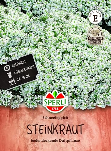 Sperli Steinkrautsamen Schneeteppich 86967, Saatgut | Weiße Polsterpflanze bis 15 cm, duftend, für Kübel und Topf, lange Blüte, Lichtkeimer, 1 Portion