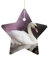 Weihnachtsbaumschmuck, weißer Schwan, bedruckt, Weihnachtsstern-Dekorationen, hängende Weihnachtsbaumschmuck