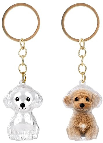 Sinbana 2stk Hundehaarsammler Schlüsselanhänger, Acryl Haustier Erinnerung Schlüsselanhänger Süß Teddy Stil Hundhaa Schlüsselring Charme für Hunde & Katzen (Transparent)