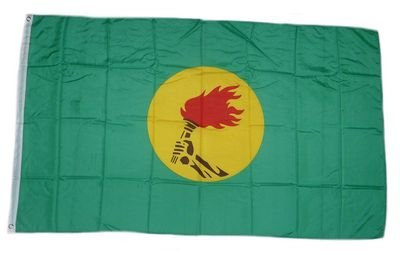 Flagge Fahne Kongo Zaire 90 x 150 cm FLAGGENMAE®