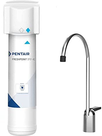 PENTAIR F1000-DFB - Filtro acqua potabile - Riduce sabbia, sedimenti fini, sapore e odore di cloro - 10 micron - 2839 L o 12 mesi