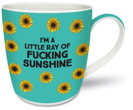 Ray of Sunshine | Rude Funny New Bone China Gift Mug