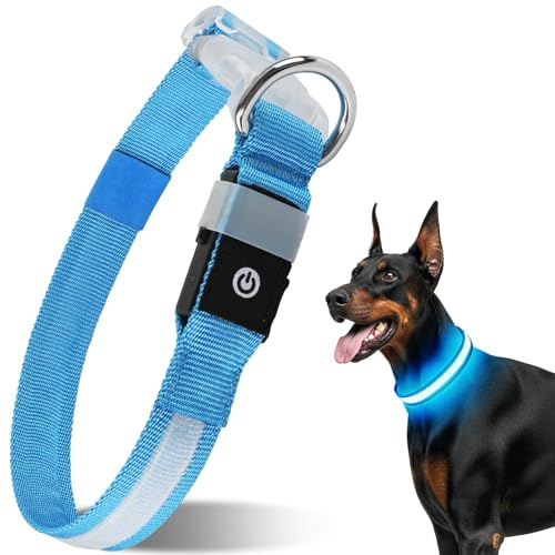 CAWJUG Leuchtende Hundehalsband, wiederaufladbar, blinkendes Hundehalsband | 3 Leuchtmodi, LED-Hundehalsband mit verstellbarem, weichem und luftigem Gurt für kleine bis große Hunde (Blau, L)