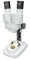 Byomic Junior Stereo Mikroskop 20x