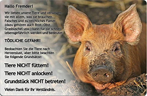 Nanyuk +++ Schwein - Metall Warnschild Schild TÜRSCHILD Sign - Pig 02