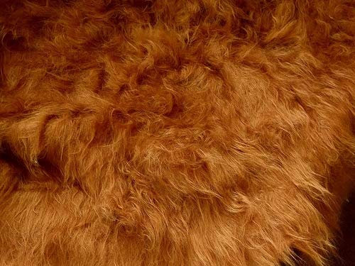 Fabrics-City Camel LANGFLOR HOCHLANDRIND Fellimitat Teddy PLÜSCHSTOFF ZOTTELPLÜSCH MIKROFON Windschutz Fell Stoffe, 4959(Camel)