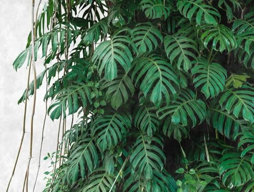Livingwalls Vliestapete - Tapete Dschungel Palmenblätter in Grün und Grau - Wandtapete für verschiedene Räume - Wandbild XXL 3,71 m x 2,80 m