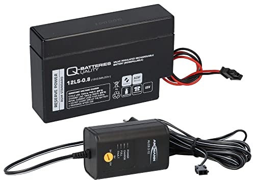 Chargeur avec 1 batterie au plomb 12 V 0,8 Ah 12LS-0.8 Prise Molex pour maison et maison (1 x QB + chargeur)