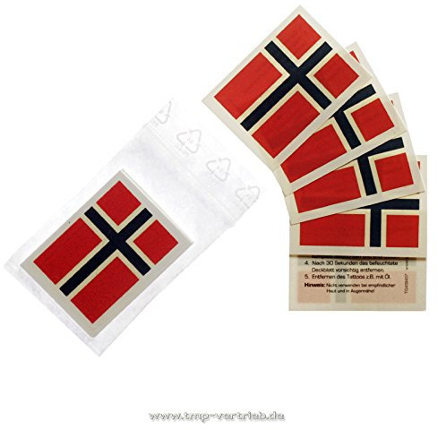 5 x Norwegen Tattoo Fan Fahnen Set - WM 2018 Norway temporary tattoo Flag (5)