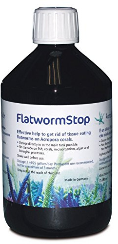 Korallenzucht.de Flatwormstop, 1er Pack (1 x 500 ml)