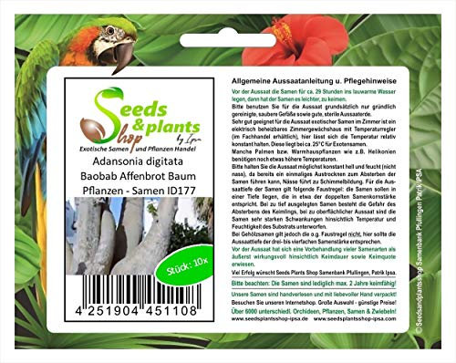 Stk - 10x Adansonia digitata Baobab Affenbrot Baum Pflanzen - Samen ID177 - Seeds & Plants Shop by Ipsa
