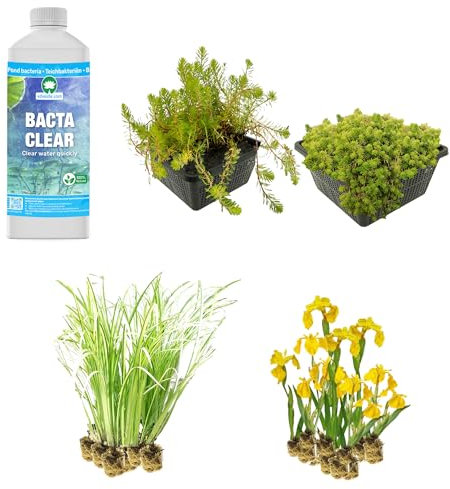 vdvelde.com - Pflanzenfilter Teich - für einen 2m² großen Sumpffilter - 32 winterharte Teichpflanzen - Helophytenfilter zur natürlichen Wasserreinigung - Van der Velde Wasserpflanzen