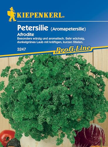 Kiepenkerl Profi-Line Schnittknoblauchsamen Neko 3280 - Mehrjährig, winterhart, Kräutersamen für Garten und Anzucht, vitaminreich, mild-aromatisch, Schnittlauchpflanze