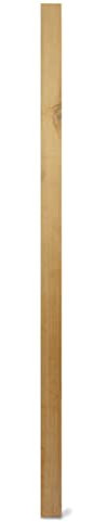 WEIDENPROFI Holzpfosten, Zaunpfosten aus Lärchenholz, vierkant, unbehandelt, ungespitzt, Größe (LxBxH): 7 x 7 x 180 cm
