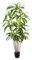 PASCH® Grand palmier dragon artificiel (180 cm), durable et fidèle à la nature, grandes plantes artificielles réalistes, grandes plantes artificielles, palmier artificiel pour une ambiance naturelle