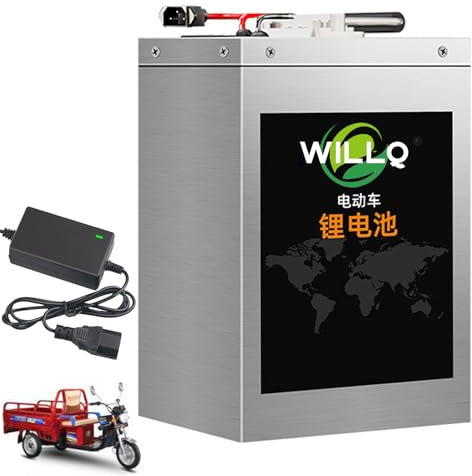 WILLQ 60 Volt LiFePO4 Batterie 60 V E-Bike Lithiumbatterie 35AH 45AH 50AH 55AH Motorradbatterien mit Ladegerät für 50-3000W Moped-Dreiradmotor,60v55ah