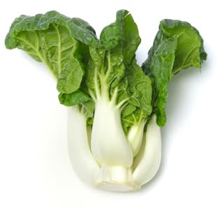 Just Seed Pak Choi - Dwarf Canton White - 700 Seeds