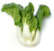 Just Seed Pak Choi - Dwarf Canton White - 700 Seeds