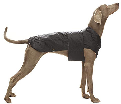 Croci Montreal - Hundemantel, Wintermantel, wasserdichte Jacke, Größe 30 cm, schwarz