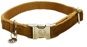 Kentucky Dogwear Hundehalsband Velvet - Senf M - 36-52cm