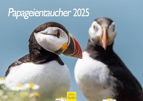 Edition Seidel Premium Kalender Papageientaucher 2025 Format DIN A3 Wandkalender Vogelkalender Weltweit Papagei Tiere Vögel Nordpolarmeer Atlantik