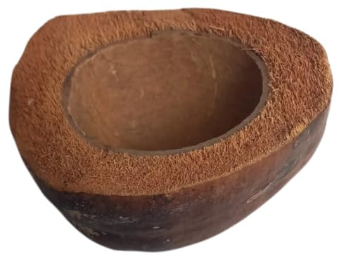 Natunae - Bol Naturel en Noix de Coco pour Petits Animaux, Reptiles, Deco pour Terrarium, Récipient pour Nourriture et Eau