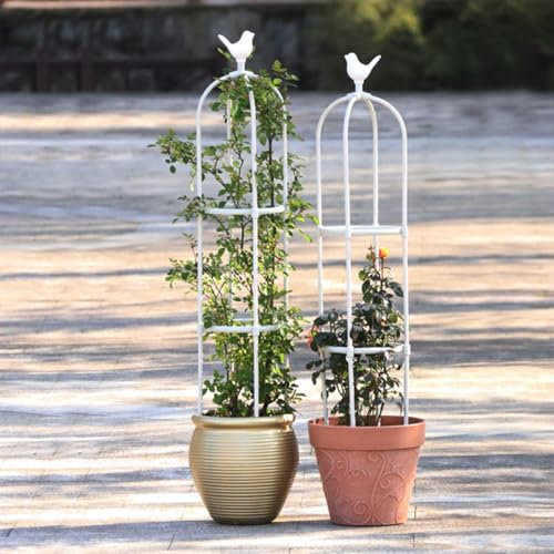Generisch Rosen Rankhilfe Obelisk Garten Spalier Für Kletterpflanzen Metal Garten Rose Rankgitter Kirschtomate Plant Support Jasmin Clematis Für Eingangstür Im Freien(Weiß,20x115cm)