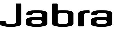Jabra 14121-26 - GN PRO 9400 EARHOOK