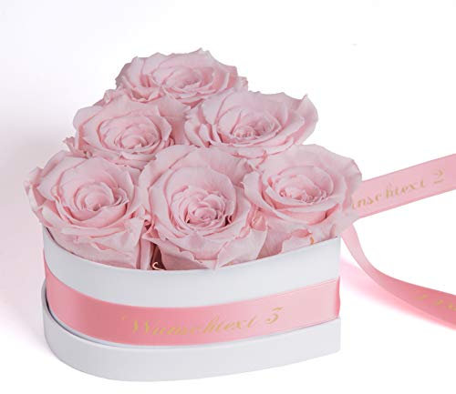 ROSEMARIE SCHULZ Heidelberg Infinity Rosenbox in Herzform mit WUNSCHTEXT personalisiert und konservierte Rosen als Liebesbeweis für Frauen (Wunschtext, Rosa)