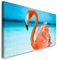 Paul Sinus Art GmbH Flamingo im Meer 120x 50cm Panorama Leinwand Bild XXL Format Wandbilder Wohnzimmer Wohnung Deko Kunstdrucke
