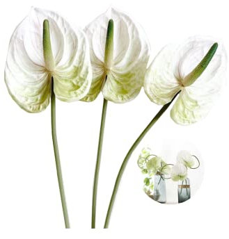 Rikyo Fiori artificiali di giglio di anthurium da 66 cm, 3 fiori tropicali imitazione piante bouquet per centrotavola e decorazioni per matrimoni, festival, composizioni floreali (bianco)