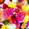 WJKWY-Q 2 pcs dahlien knollen winterhart zwiebeln - pflanztopf Pflanze Geschenke für ältere Menschen,dahlie Dahlia, balkonpflanzen winterhart Gartenarbeit blumendeko gartenpflanzen