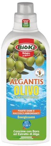 Antika Officina Botanika Algantis Olivo Concime energizzante con Boro e Ascophillum Nodosum per Olivo, flacone da 1 kg, marrone