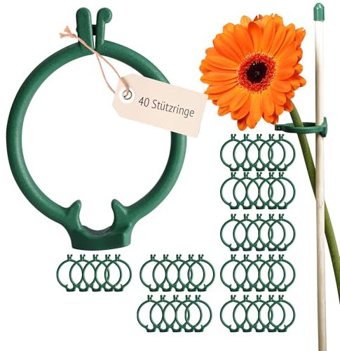 40 x Stützringe für Pflanzen, Pflanzenstütze, Pflanzenhalter, Pflanzen Stütze, Pflanzenstützen für Zimmerpflanzen, Blumenstütze, Strauchstütze, Pflanzstützen, Pflanzstütze 3,5 cm x 5,7 mm