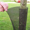 Intermas Tree Guard Protector - 5 Rolls Expanding Mesh 10cm Dia x 1.1m high
