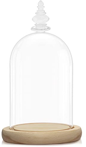 BELLE VOUS Cloche en Verre avec Socle en Bois Naturel - 21,5 cm de Haut - Mini Cloche en Verre Transparent pour Lumières, Plantes, Décoration de Table