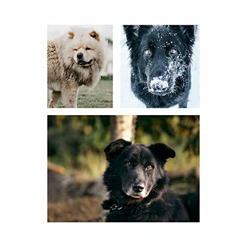 Thrilling Quartet Jazz - Background for Dog Parties While Home Alone