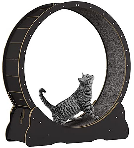 Katzenlaufrad, Sicherheits-Anti-Pinch-leises Katzenlaufband für Indoor-Katzen, Katzenlaufrad, interaktives Katzenspielzeug zum Abnehmen mit Feststellvorrichtung, Schwarz-L