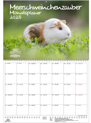 Meerschweinchenzauber Planer DIN A2 Kalender für 2025 Meerschweinchen - Set: 1x Kalender 1x Weihnachtsanhänger 1x Grußanhänger (gesamt 3 Teile)