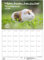 Meerschweinchenzauber Planer DIN A2 Kalender für 2025 Meerschweinchen - Set: 1x Kalender 1x Weihnachtsanhänger 1x Grußanhänger (gesamt 3 Teile)