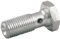 Allstar Performance ALL50070 Banjo-Armatur, 3/8-Zoll-24
