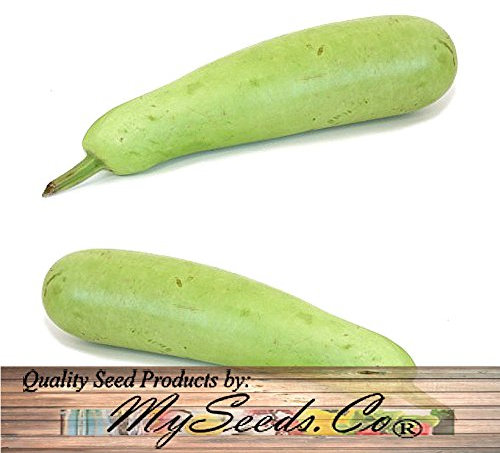 4 oz: Calabash Long Squash/Melon Seeds, opo Bottle Gourd, lagenaria siceraria, Poo gua