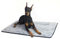 4Knines Hundekäfigmatte (XL, Grau)