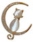 Broche bijou Chat sur croissant de lune, acier doré et strass cristal.