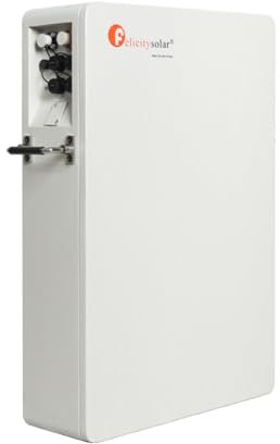WADA POWER LiFePO4 Batteria Accumulo Solare Fotovoltaico da 51,2 V 100 Ah, Felicity Batteria Accumulo 5120 Wh Ricaricabile, Batteria Solare con BMS Integrato per Sistema Solare Fotovoltaico RV