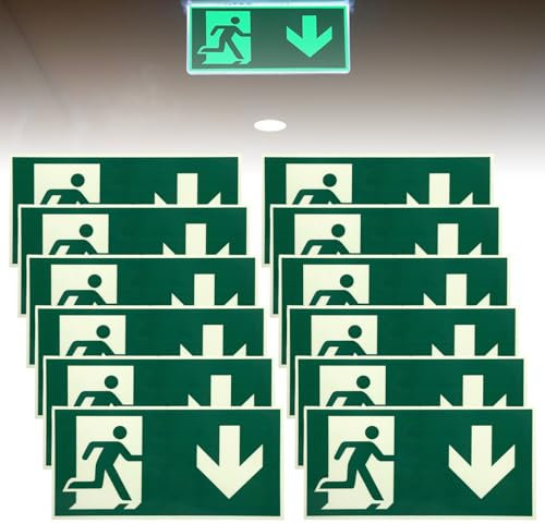 12 Stück Schild Notausgang: 300 x 150 mm Schild Notausgangsschild Extra Langnachleuchtend, Notausgangsschild Pfeil nach unten Reflektierend, Fluchtwegschild Rettungsweg (Nach unten)