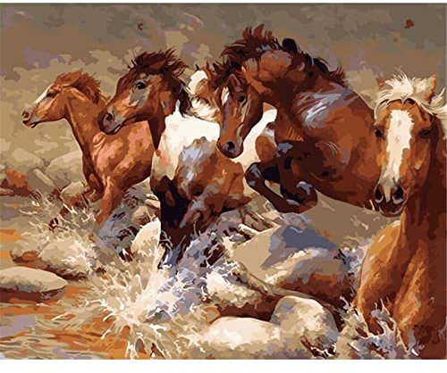 Malen Nach Zahlen Erwachsene,Tierisches Pferd DIY Handgemalt Ölgemälde Leinwand Kits mit Pinseln Acrylpigment Zeichnung für Erwachsene Kinder Paint by Numbers für Haus Wand Decor 50x65cm Ohne Rahmen