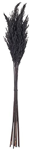 75cm Wild Autumn Pampas Natural Dried Grass Reed Flower Plume Bouquet 10 Stems (Black)