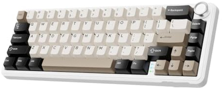 CGCZTQmgh 66 Key Wireless Mechanical Keyboard With Knob Tri Mode Gasket Hot Swap RGB 60 Percent Layout PBT Keycap Compatible With X66(WHITE)