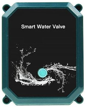 Sprinkler-Timer Smart Zigbee Electric Motorized Ball Water Valve Gartenbewässerungs-Fernbedienung Aus Edelstahl Bewässerungstimer für den Garten (Size : 1, Color : DN20)